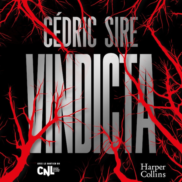 Book cover for Vindicta