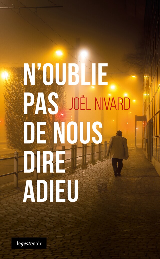 Book cover for N'oublie pas de nous dire adieu