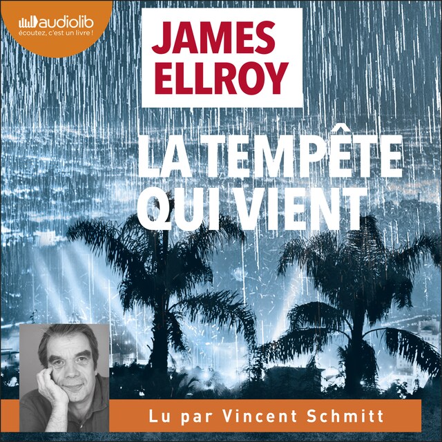 Book cover for La Tempête qui vient