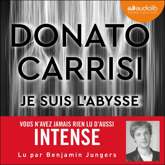 Book cover for Je suis l'abysse