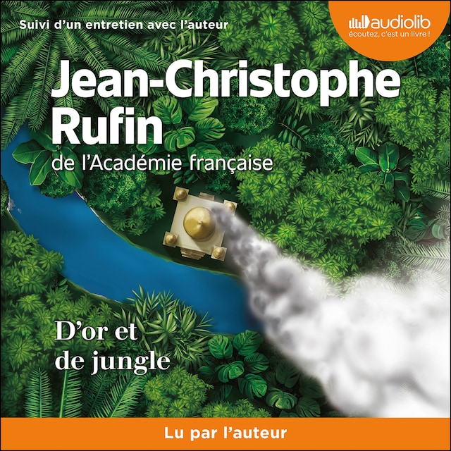 Book cover for D'or et de jungle