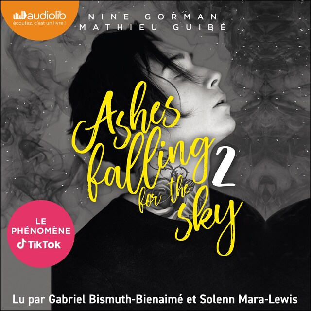 Book cover for Ashes falling for the sky, tome 2