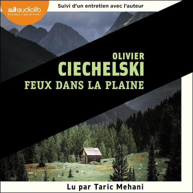 Book cover for Feux dans la plaine