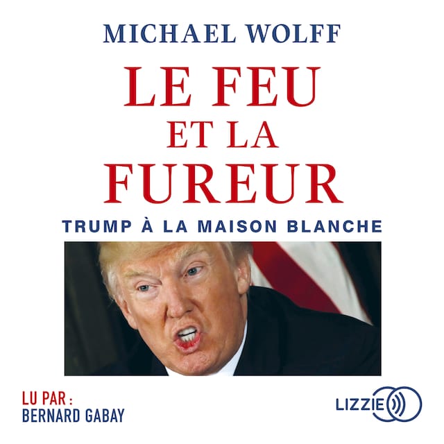 Book cover for Le feu et la fureur