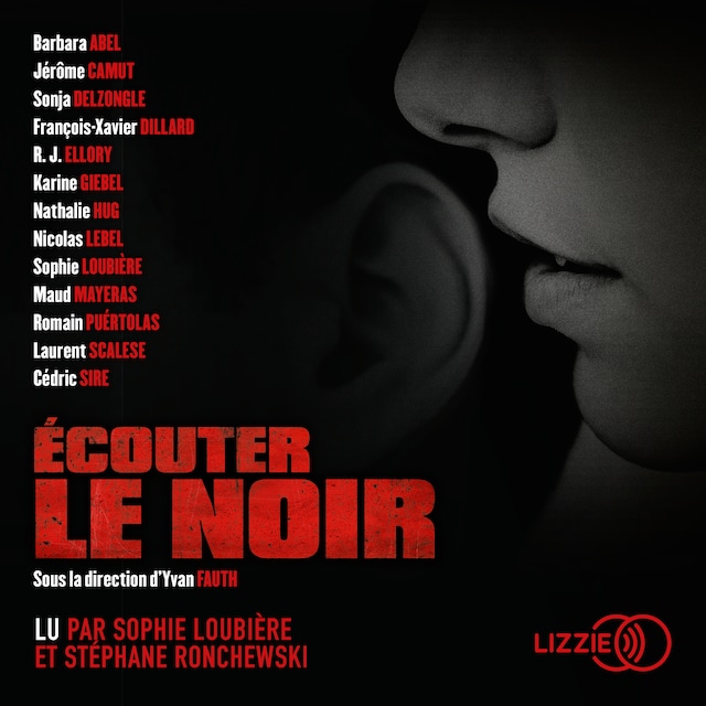 Book cover for Écouter le noir