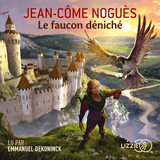 Book cover for Le Faucon déniché