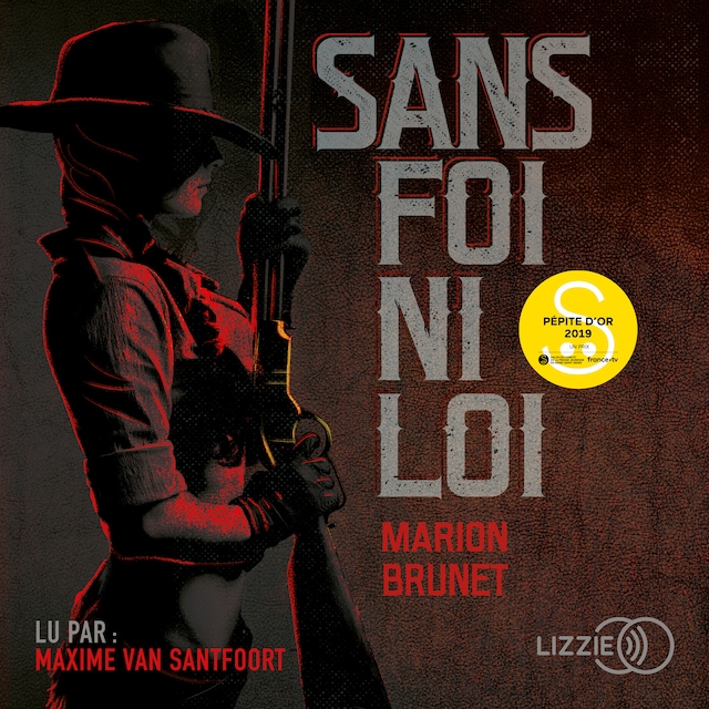 Book cover for Sans foi ni loi