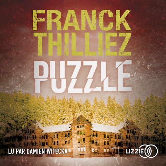 Book cover for Puzzle