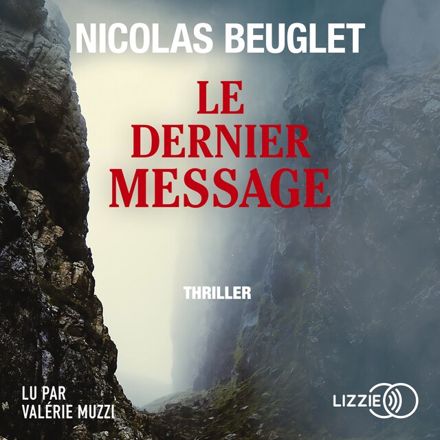 Book cover for Le Dernier Message