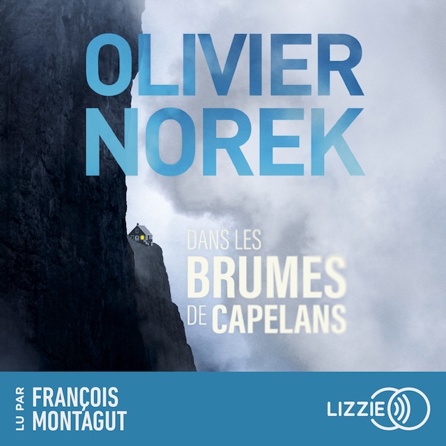 Book cover for Dans les brumes de Capelans