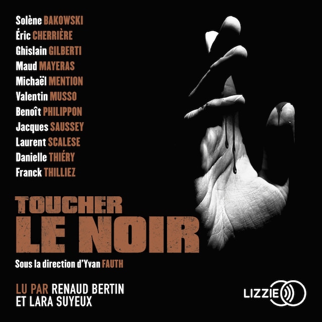 Book cover for Toucher le noir