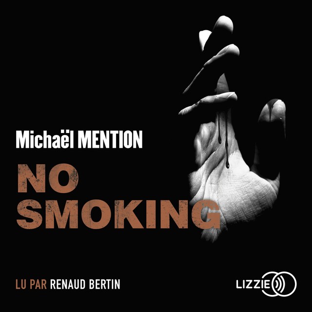 Book cover for No smoking