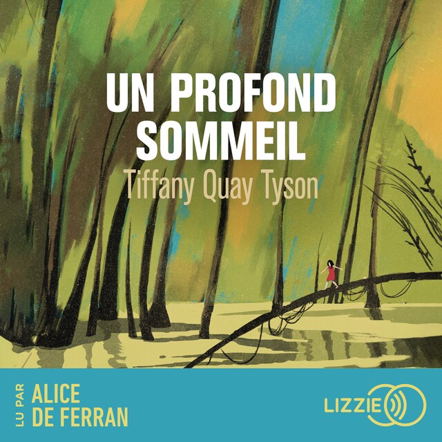 Book cover for Un profond sommeil