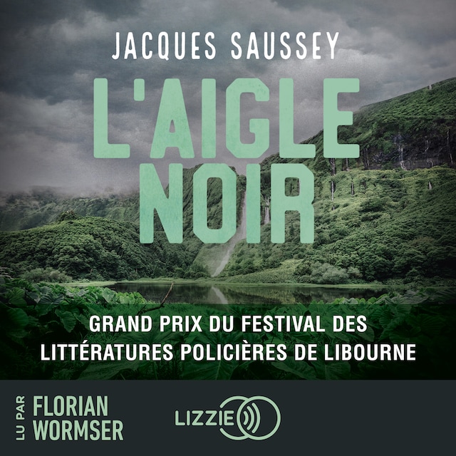 Book cover for L'Aigle noir