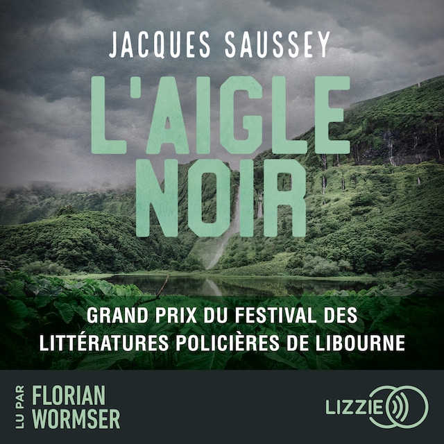 Book cover for L'Aigle noir