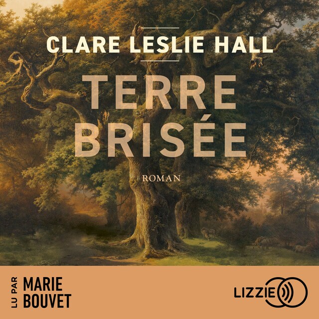 Bogomslag for Terre brisée