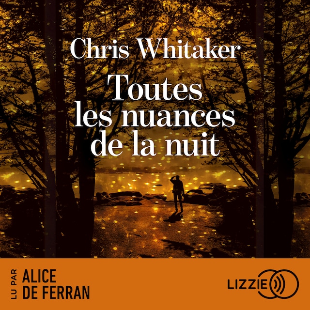 Book cover for Toutes les nuances de la nuit