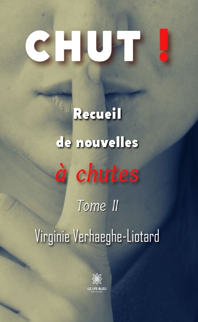 Book cover for Recueil de nouvelles à chutes - Tome 2