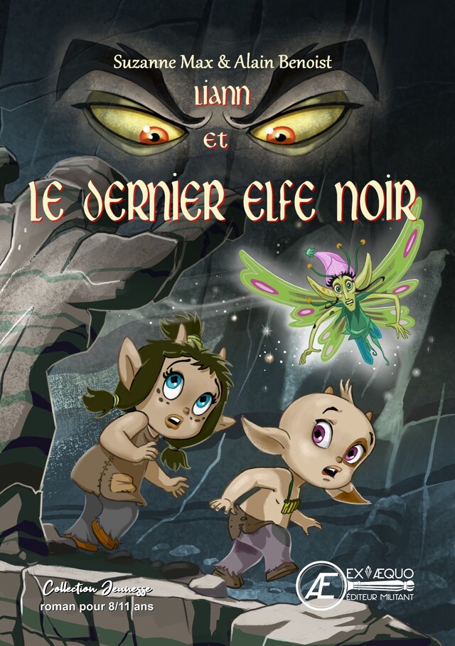 Book cover for Liann et le dernier elfe noir