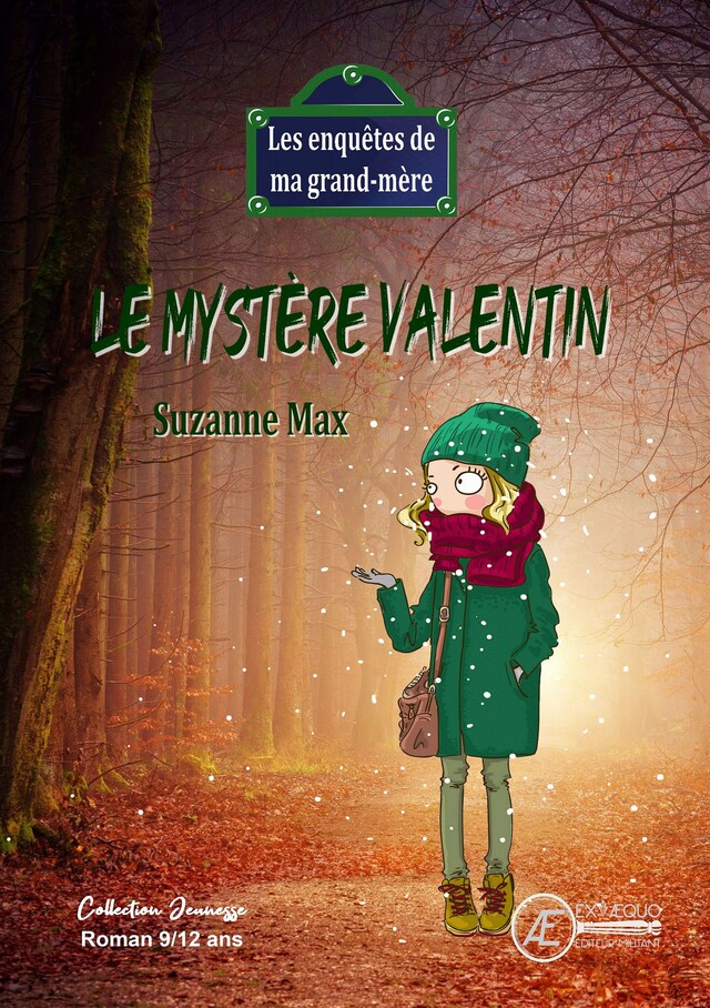 Book cover for Le mystère Valentin