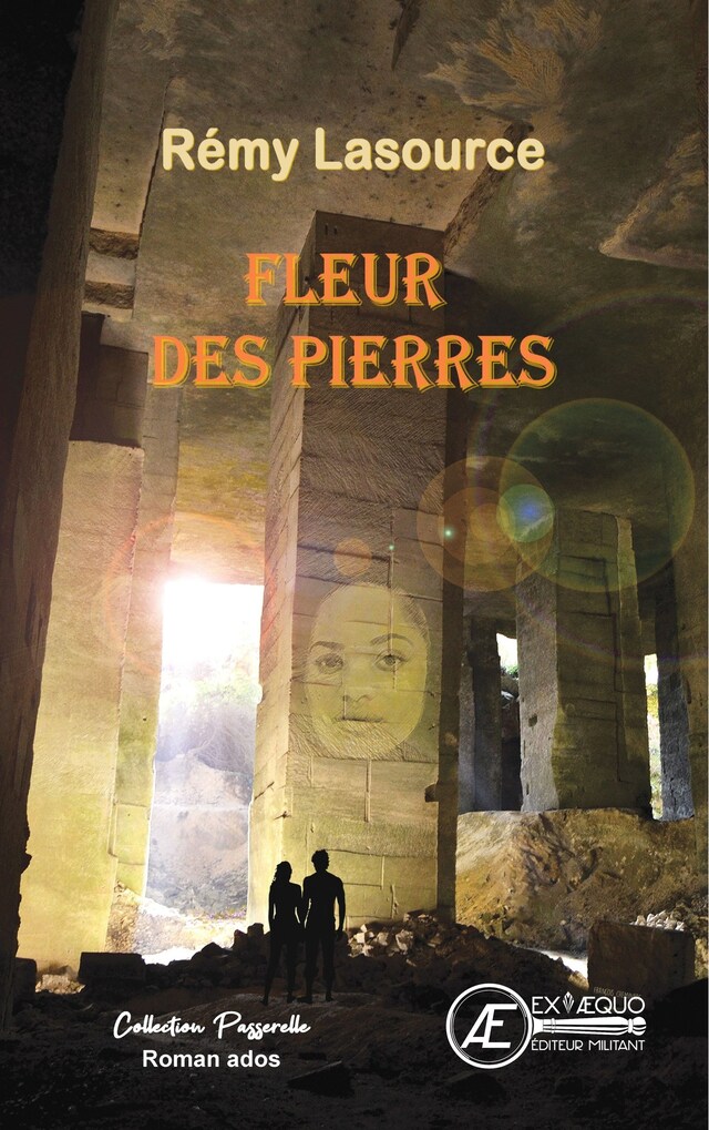 Book cover for Fleur des pierres