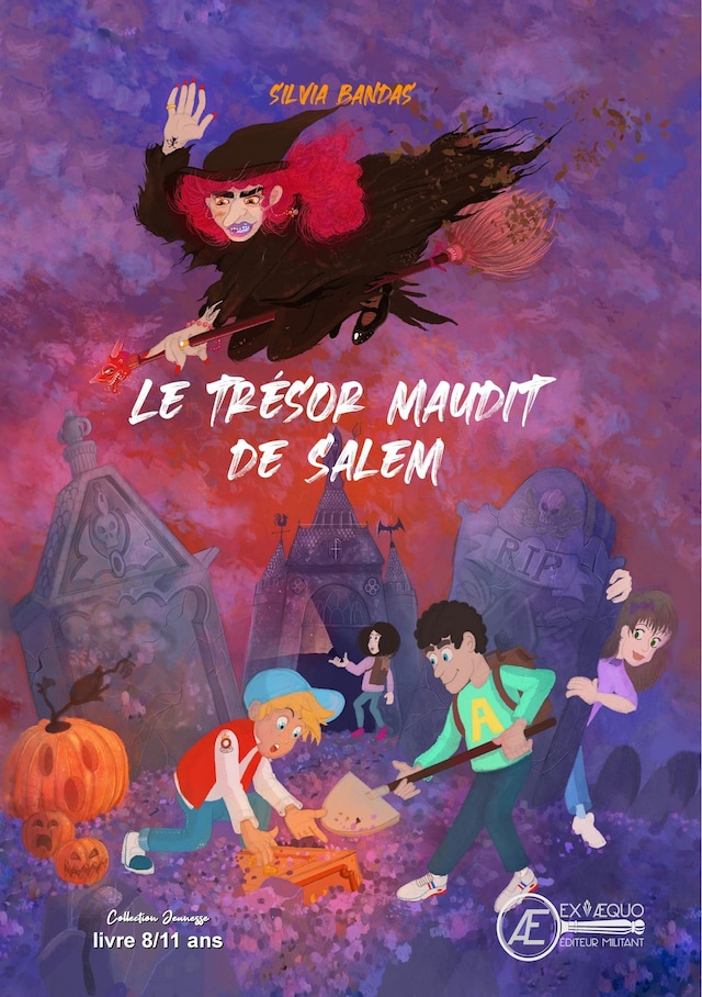 Buchcover für Le trésor maudit de Salem