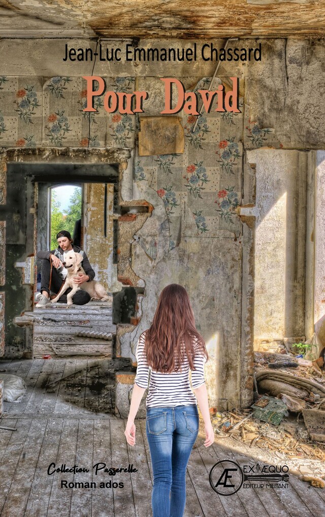 Buchcover für Pour David