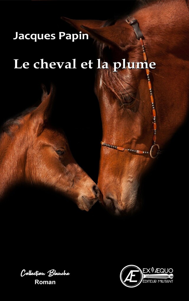 Bogomslag for Le cheval et la plume