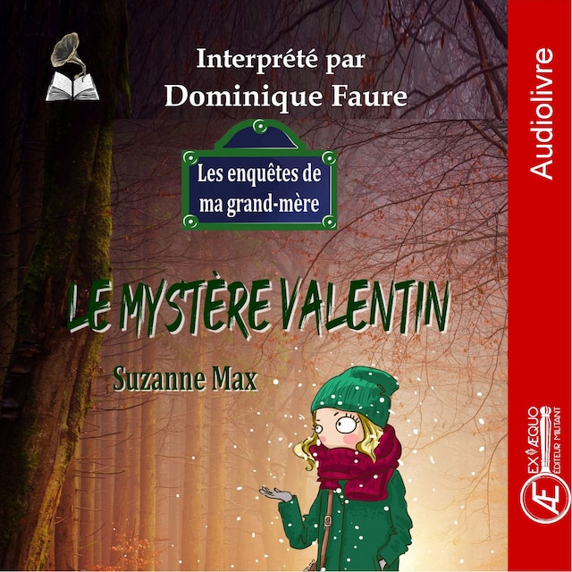 Portada de libro para Le mystère Valentin