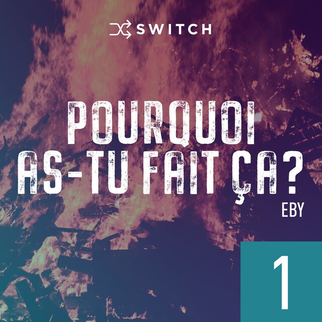 Pourquoi as-tu fait ça 1 Kirjankansi teokselle Pourquoi as-tu fait ça 1