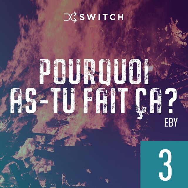 Book cover for Pourquoi as-tu fait ça 3