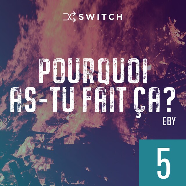 Book cover for Pourquoi as-tu fait ça 5