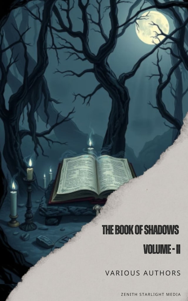 Buchcover für The Book of Shadows II