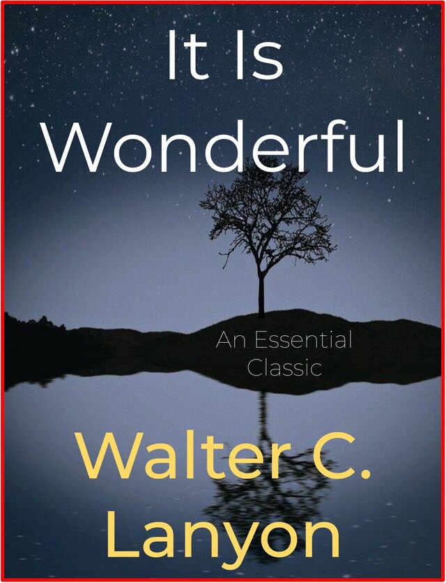 Book cover for It Is Wonderful