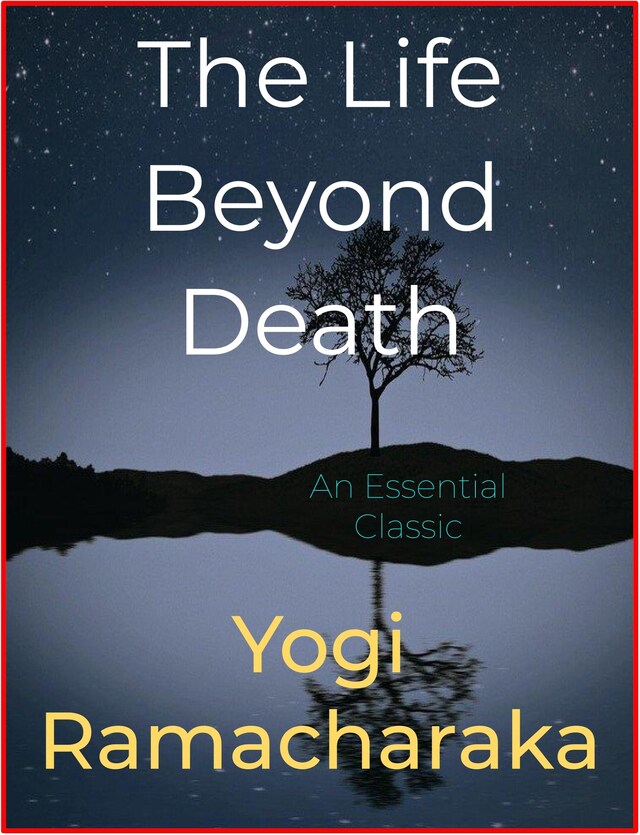 Book cover for The Life Beyond Death