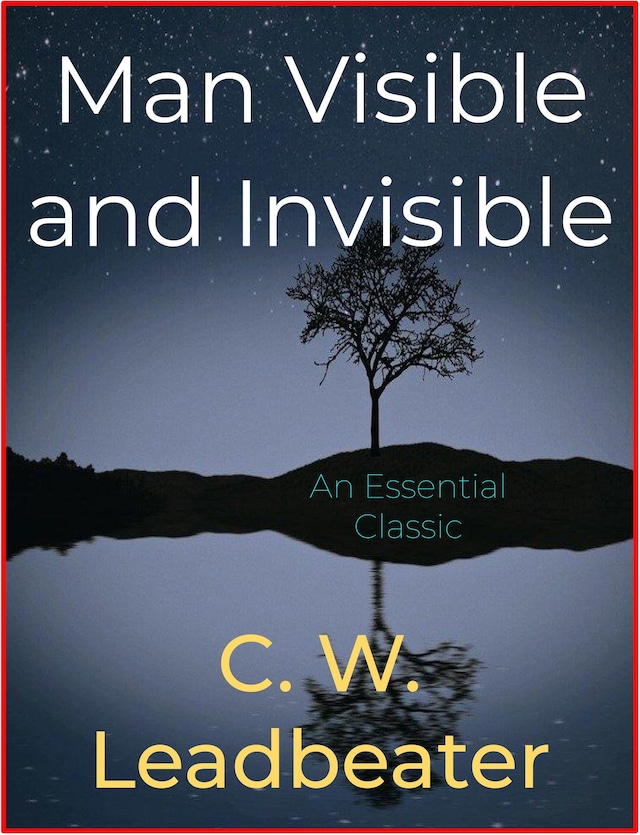 Book cover for Man Visible and Invisible