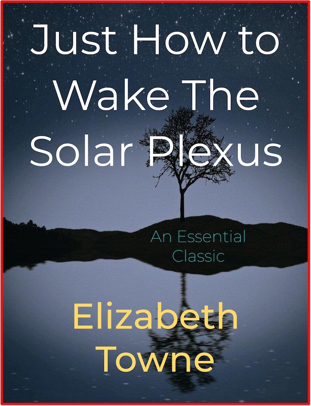 Buchcover für Just How to Wake The Solar Plexus