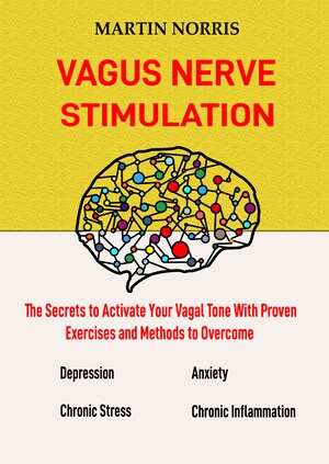 Vagus Nerve Stimulation bookCoverFor