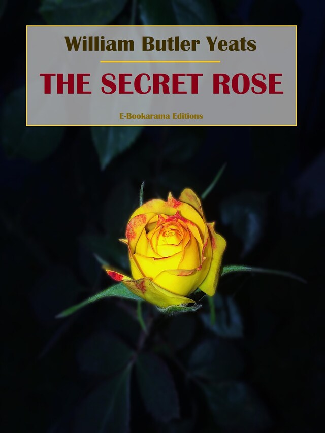 Book cover for The Secret Rose