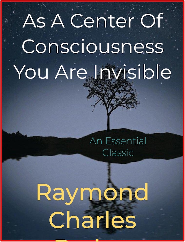 Bogomslag for As A Center Of Consciousness You Are Invisible