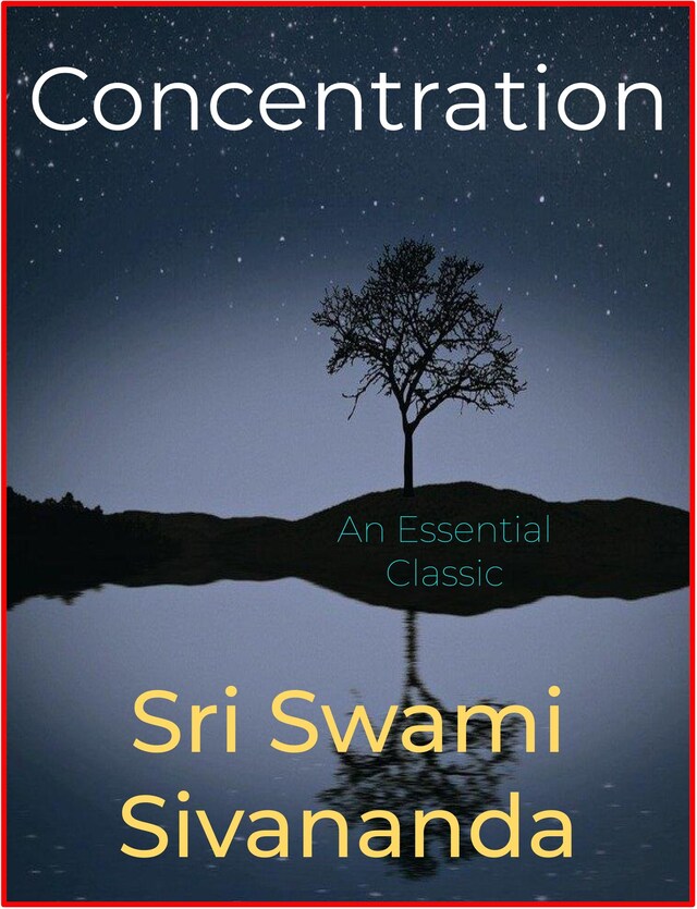 Book cover for Concentration