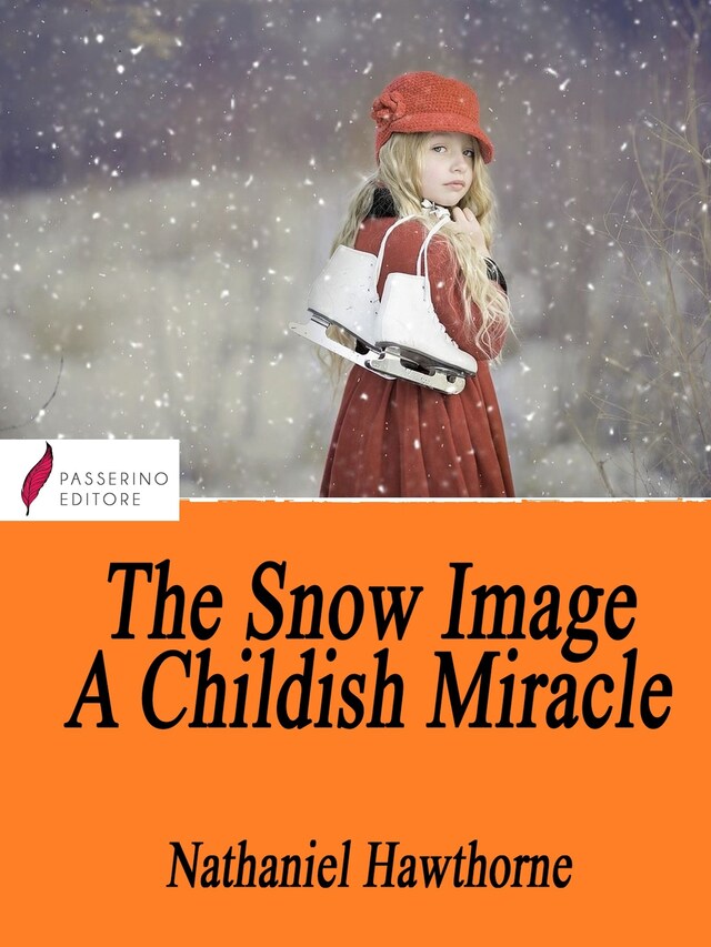 Copertina del libro per The Snow Image