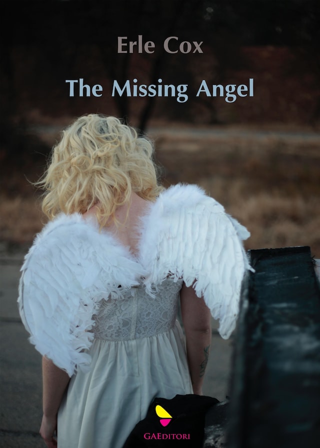 Okładka książki dla The missing angel