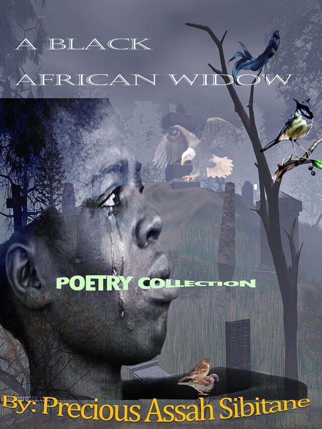 Book cover for A Black African Widow