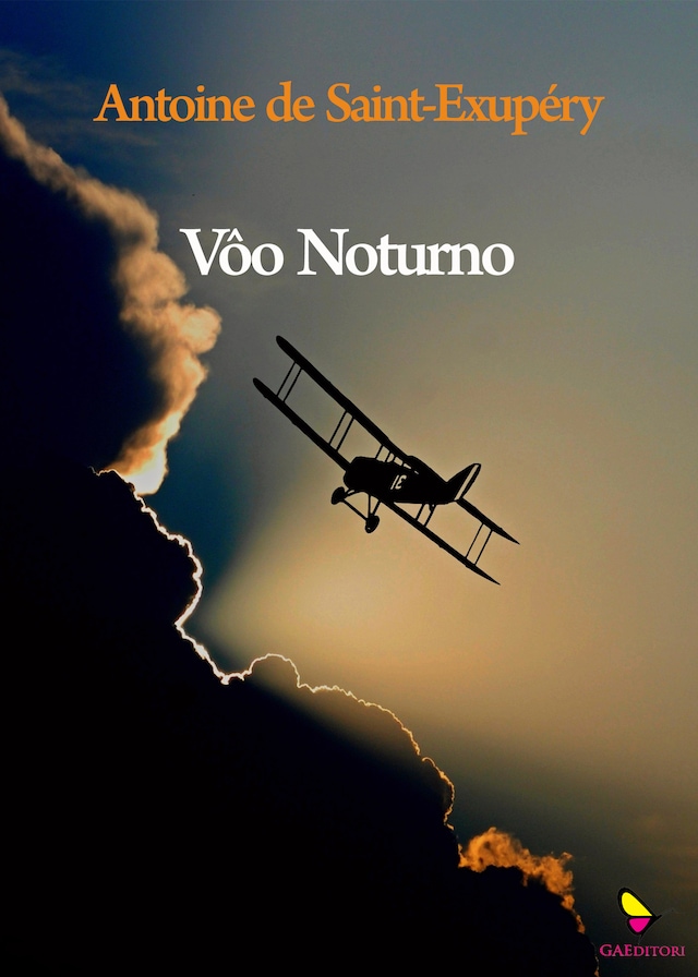 Book cover for Vôo Noturno