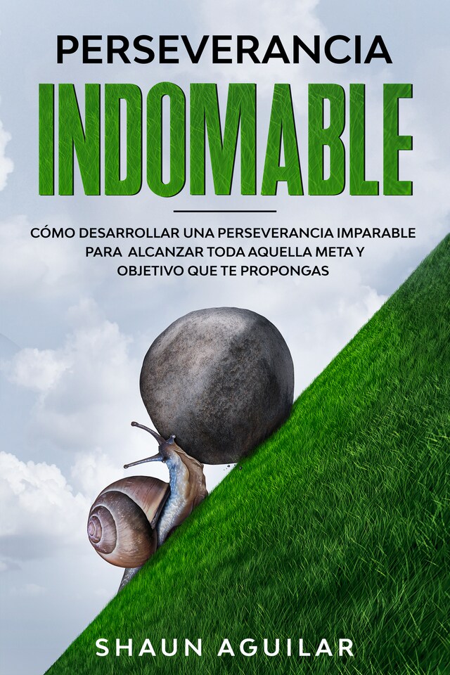 Book cover for Perseverancia Indomable