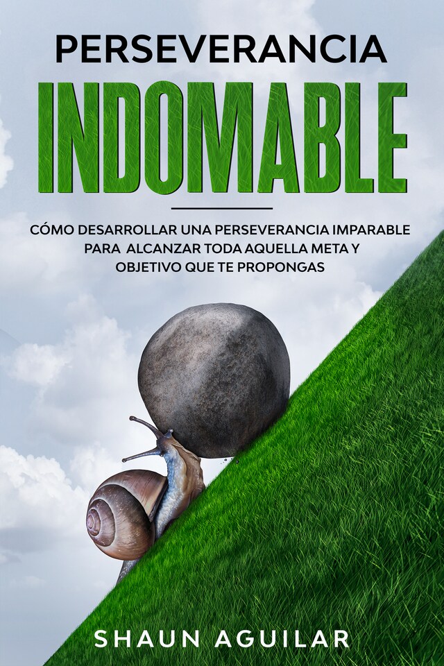 Copertina del libro per Perseverancia Indomable