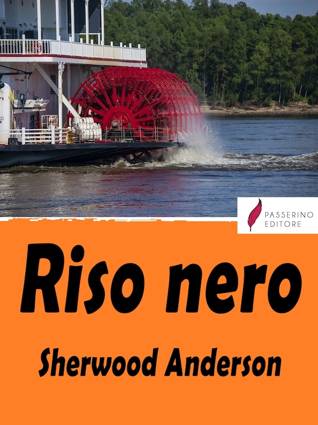 Book cover for Riso nero