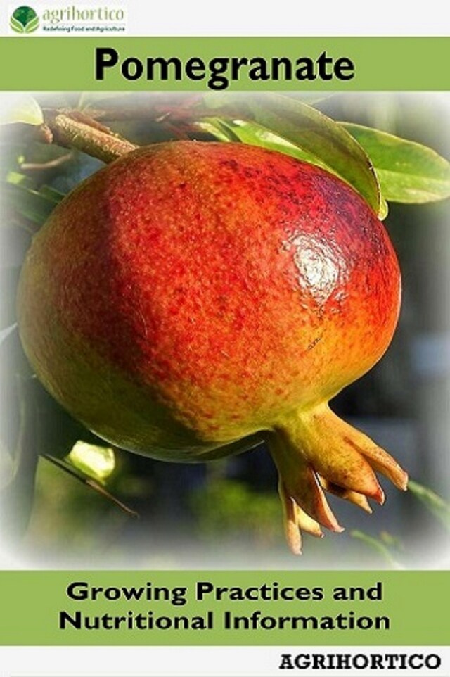 Copertina del libro per Pomegranate