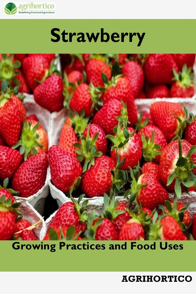 Boekomslag van Strawberry